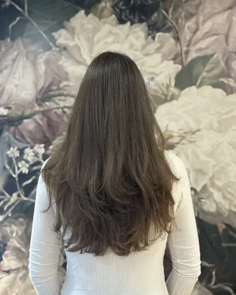 realisation-cheveux-bruns-degrades
